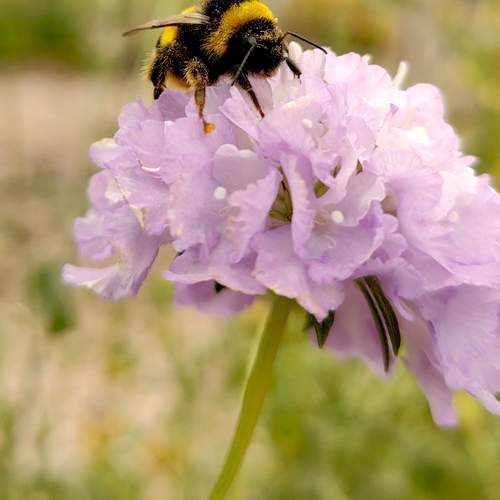 Photo #12012570