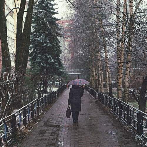Photo #12012602