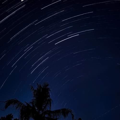 Photo #12012884