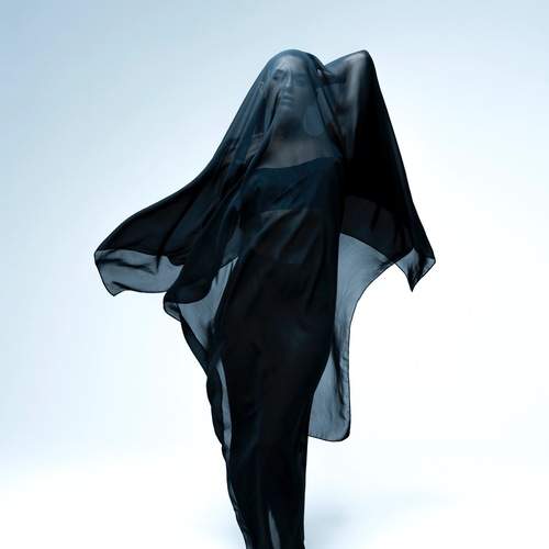 Photo #12013021