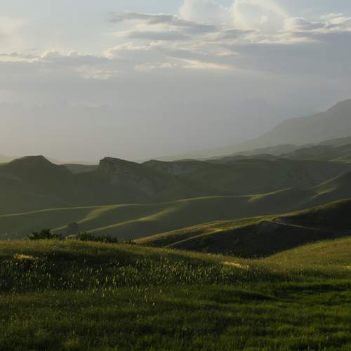 Photo #12013044
