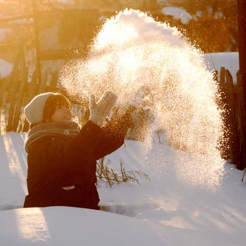 Photo #12013159