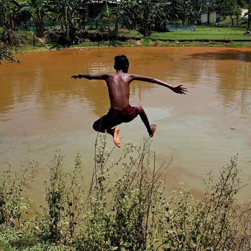 Photo #12013313