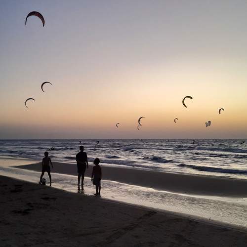 Photo #12013356