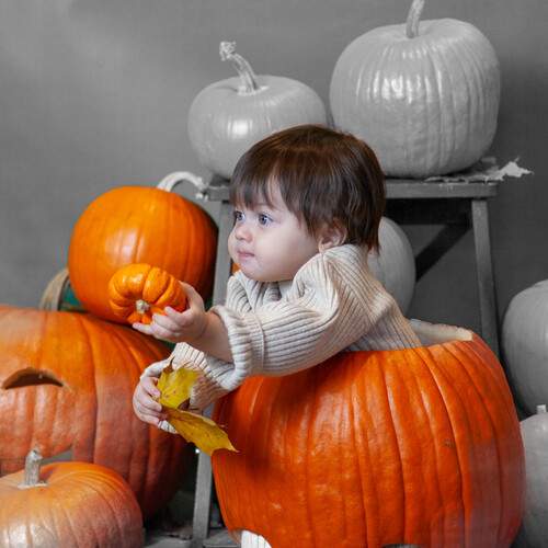 Photo #12013372