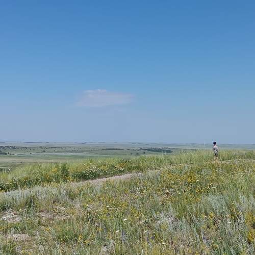 Photo #12013488