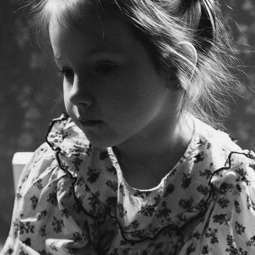 Photo #12013568
