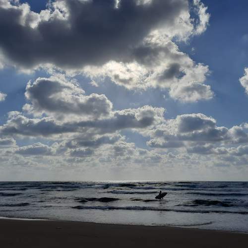 Photo #12013590