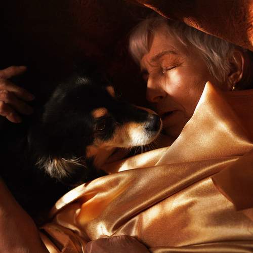 Фотография #12013692