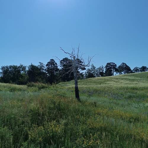 Photo #12013721