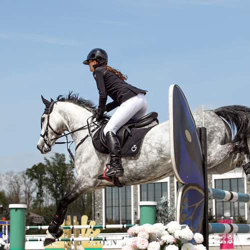 Фотография #12013724