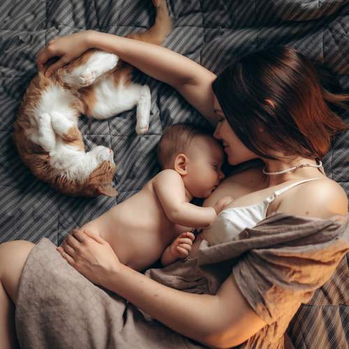 Фотография #12013736