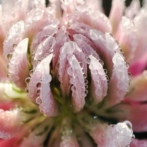 Photo #12013893