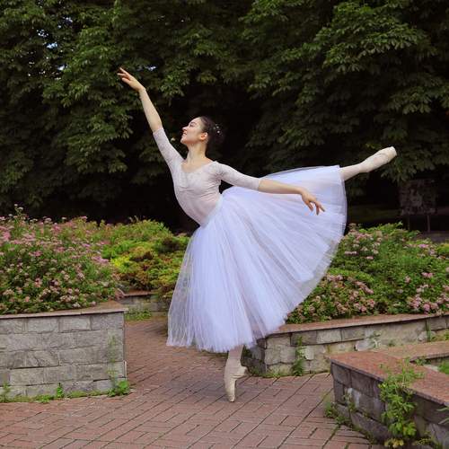 Photo #12014090