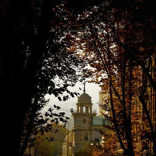 Photo #12014220