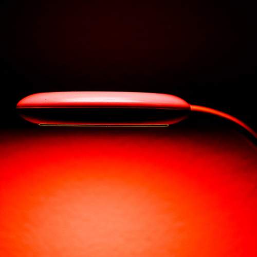 Photo #12014258