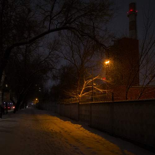 Photo #12014637