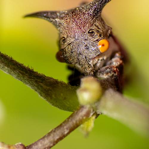 Photo #12015002