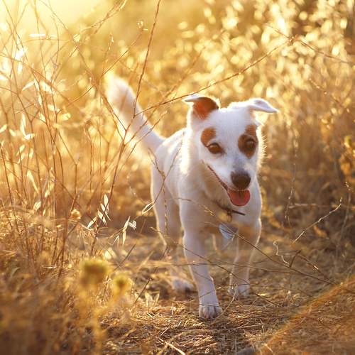 Photo #12015247