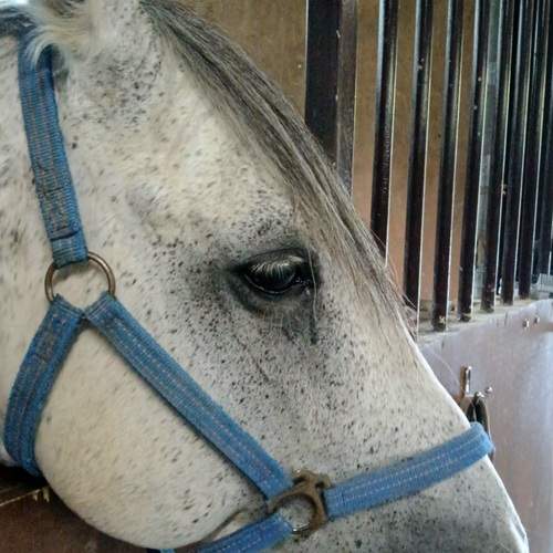 Photo #12015308