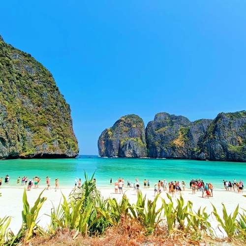 Paradise Unveiled