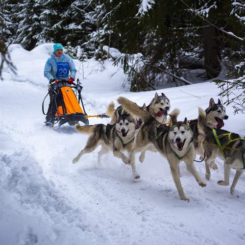 Photo #12016428