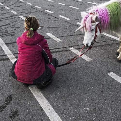Photo #12017588