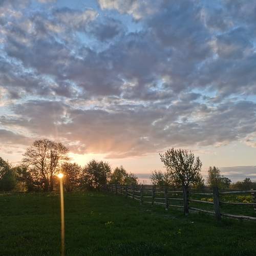 Photo #12018434
