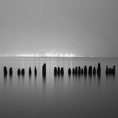 Фотография #12018451