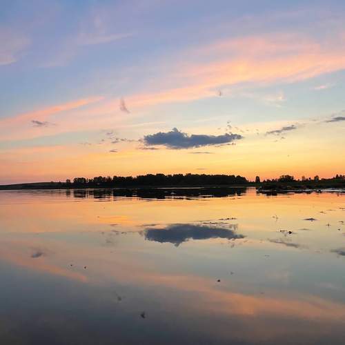 Photo #12019780