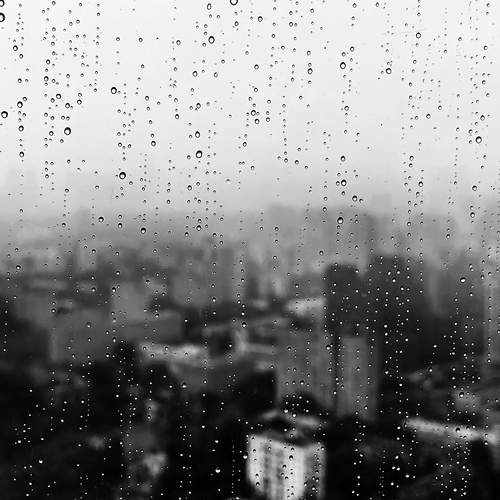 Деловой дождь / The business rain