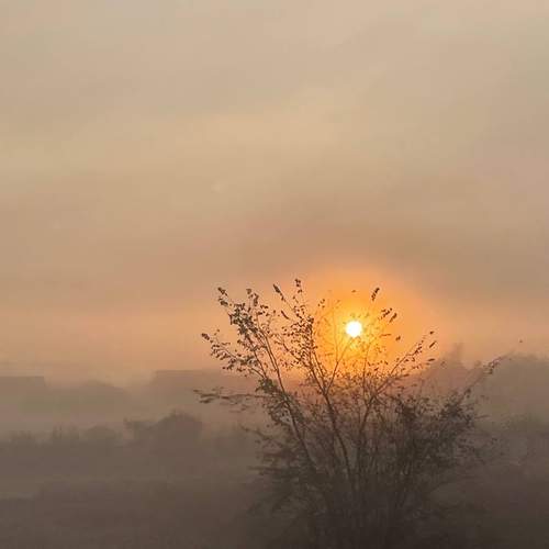 Photo #12019851