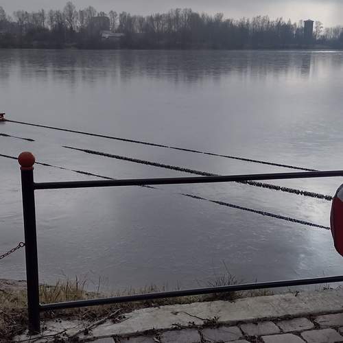 Photo #12019923