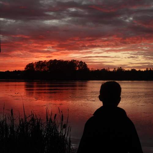 Photo #12020053