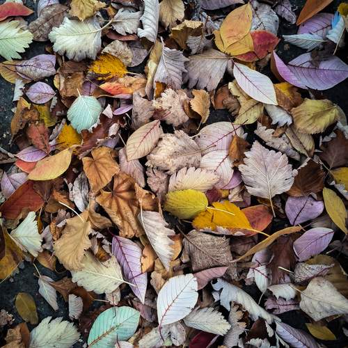 Photo #12020629