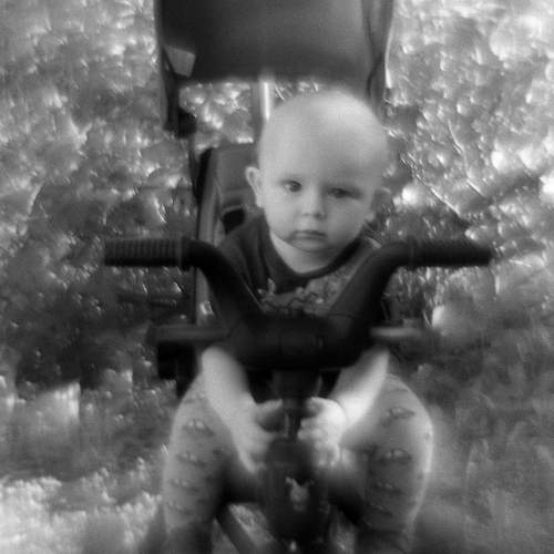 Photo #12020801