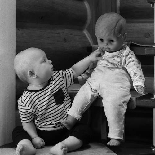 Photo #12020989
