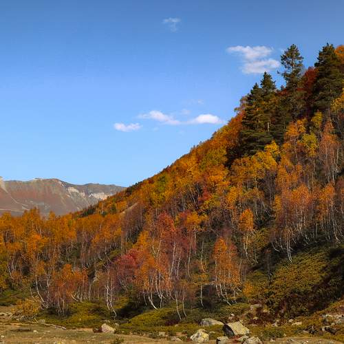 Photo #12021070