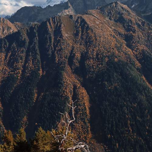 Photo #12021160