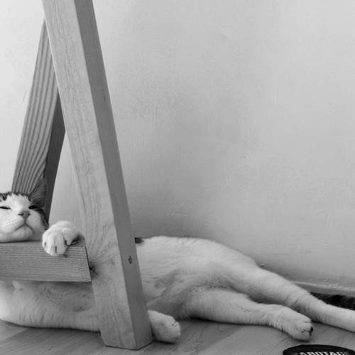 Photo #12021182
