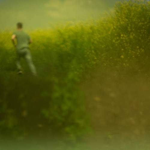 Photo #12021446