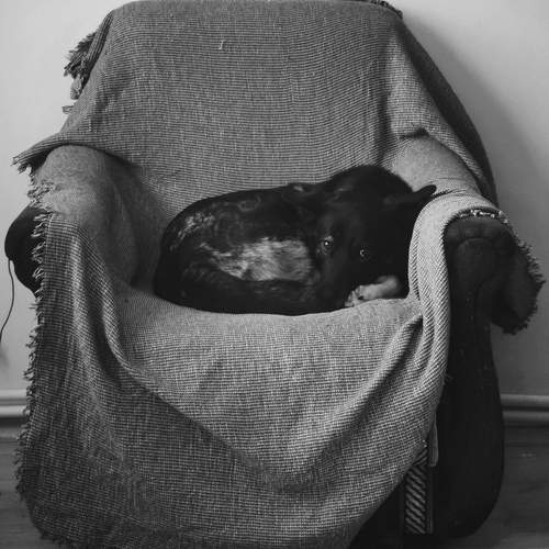 Photo #12021463