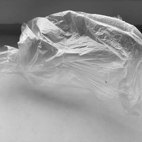 Photo #12021563