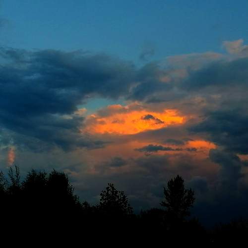 Photo #12021906