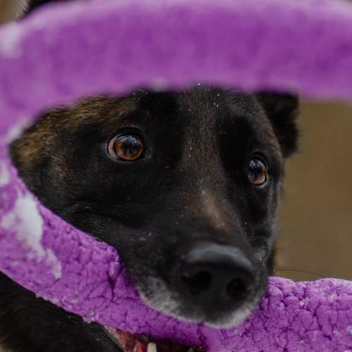 Фотография #12022143