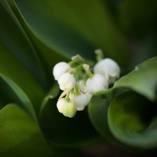 Photo #12022244