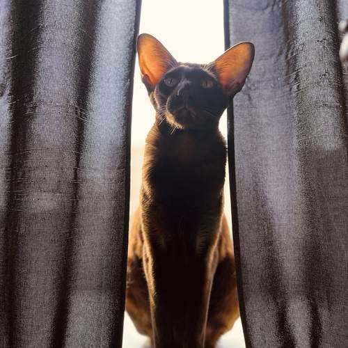 Photo #12022257