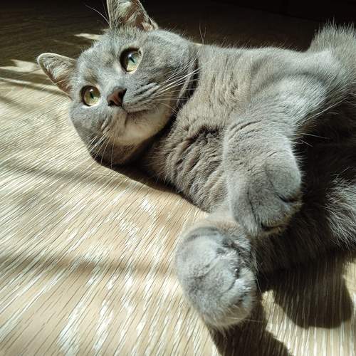 Photo #12022284