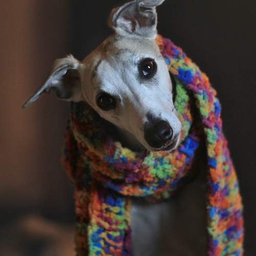 Photo #12022305