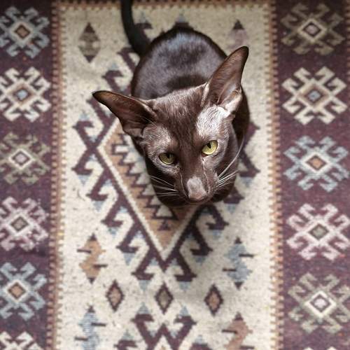 Photo #12022356